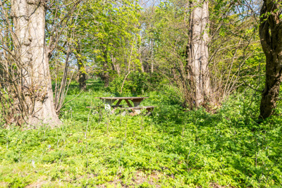 Duncombe Hill