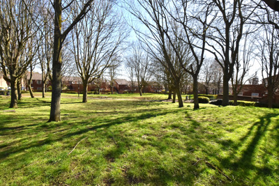 Firs Close 