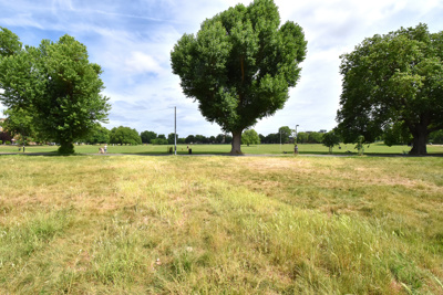 Peckham Rye 